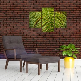 Tablou - Fern (90x60 cm)