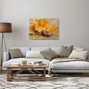 Tablou pe sticlă - Ghinde de toamnă (70x50 cm)