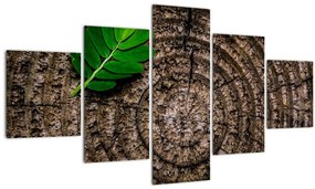 Tablou cu frunză pe trunchi de copac (125x70 cm), în 40 de alte dimensiuni noi