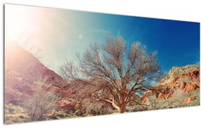 Tablou cu cu copac în deșert (120x50 cm), în 40 de alte dimensiuni noi