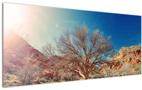 Tablou cu cu copac în deșert (120x50 cm)