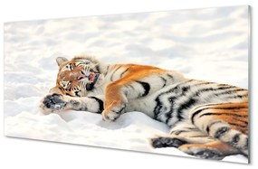 Tablouri pe sticlă Tiger de iarnă