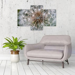 Tablou cu păpădie (90x60 cm)