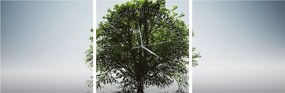 Tablou - Copacul singuratic (cu ceas) (90x30 cm)