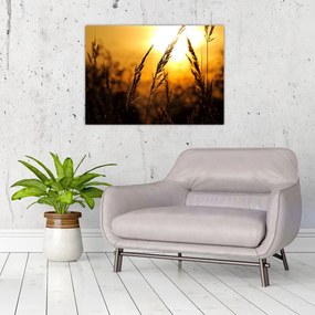 Tablou - Apus de soare (70x50 cm)