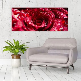 Tablou cu floarea trandafirului roșu (120x50 cm), în 40 de alte dimensiuni noi