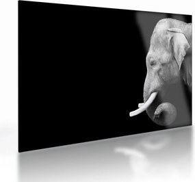Tablou pe sticlă - Elefant (70x50 cm)