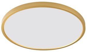 Plafoniera LED moderna design slim CAMI 60cm, auriu