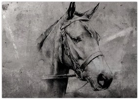 Tablou pe sticlă - Portret de cal (70x50 cm)