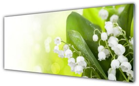 Panou sticla bucatarie Lacramioare Frunze Floral Alb Verde