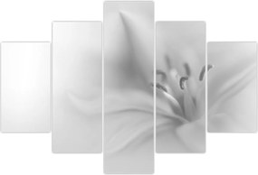 Tablou - Crin delicat (150x105 cm)