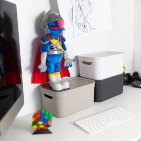 Cutie de depozitare din plastic cu capac Deco - Rotho