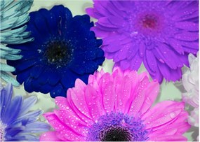 Tablou cu flori colorate (70x50 cm)