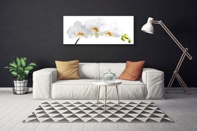 Tablou pe panza canvas Flori Floral alb