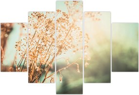 Tablou - Plante de luncă (150x105 cm)