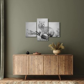 Tablou - Vulpe gri (90x60 cm)