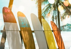 Fototapet - Placă de surf (147x102 cm)