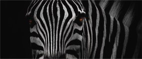 Tablou cu zebră (120x50 cm)