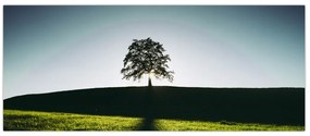 Tablou cu natura - copac (120x50 cm)