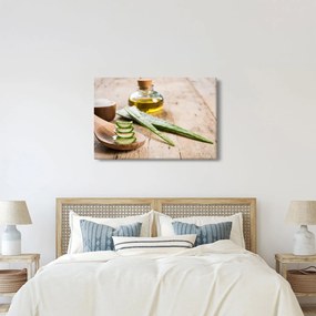 Tablou - Aloe vera (90x60 cm)