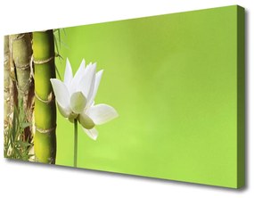 Tablou pe panza canvas Bamboo peduncul Floral Verde Alb