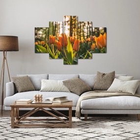 Tablou - florile lalelelor (150x105 cm)