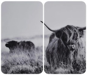 Protecții de aragaz 2 buc. din sticlă temperată 30x52 cm Universal Highland Cattle – Wenko