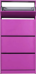 Dulap Pantofi Inalt Adore XL – Pantofar cu Adancime Slim (26 cm) pentru Hol, 4 Compartimente Rabatabile, Capacitate 24 Perechi