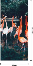 Fototapet pentru ușă - Cârd de flamingo (95x205cm)