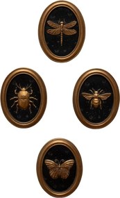 Set 4 tablouri polyrasina cu insecte " Entomology "