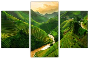Tablou - Terase de orez Mu Cang Chai (90x60 cm)