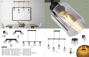 Plafoniera cu 2 spoturi directionabile design modern HADERA negru