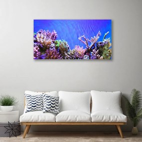 Tablou pe panza canvas Coral Reef Natura Multi