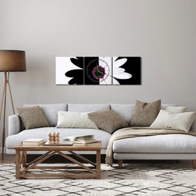 Tablou - Floare, alb- negru (cu ceas) (90x30 cm)