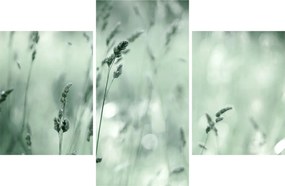 Tablou - Pajiște verde (90x60 cm)
