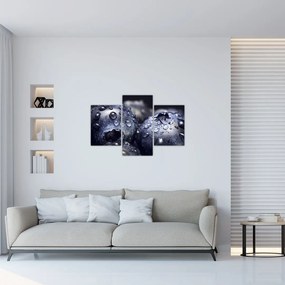 Tablou cu fructe cu picături de apă (90x60 cm)