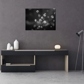 Tablou pe sticlă - Iarba de bumbac în pajiște (70x50 cm)