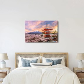 Tablou - Fuji,Japonia (90x60 cm)