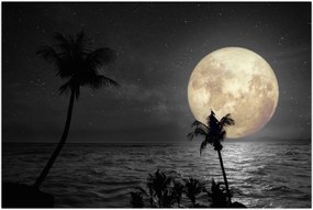 Tablou - Plaja cu lună plină, nuanțe gri (90x60 cm)