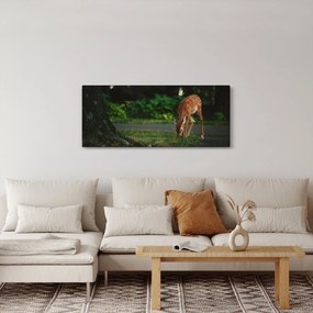 Tablou cu pui de cerb (120x50 cm)