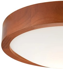 Plafonier 1xE27/60W/230V, iluminare plafon simplă și eficientă