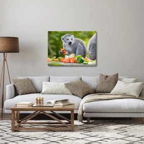 Tablou cu lemur (70x50 cm)