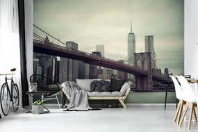 Fototapet - Manhattan (254x184 cm)