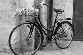 Tablou bicicletă rustică în design alb-negru