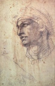 Reproducere Study of a Head, Michelangelo Buonarroti