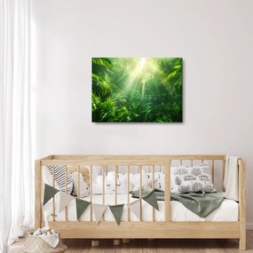 Tablou pe sticlă - Pădurea tropicală (70x50 cm)