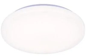 Plafonieră LED dimabilă cu control vocal OPAL LED/48W/230V + telecomandă