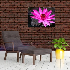 Tablou - floarea roz (70x50 cm)