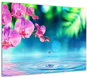 Tablou - Orhidee (70x50 cm)