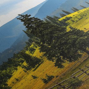 Tablou - Lunca de munte (70x50 cm)